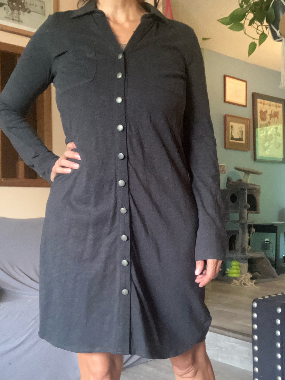 Soft Surroundings casual dress